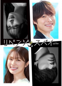 Любовь и месть: Шпионская игра