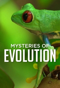 Загадки эволюции